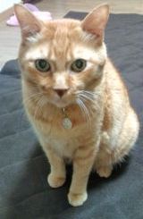 fb89d8da5faaf72ff1af6d1396b11acd