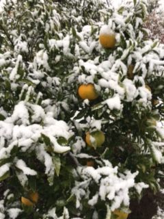 雪(2)