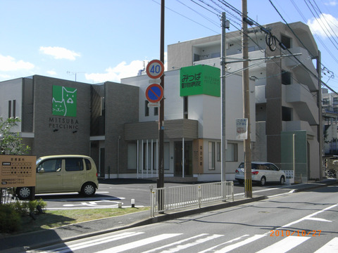sRIMG0091