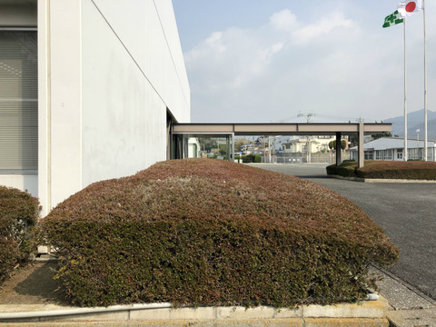 s2019-03-01 11.11.48