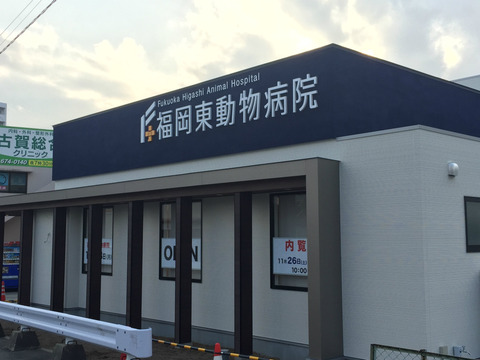カルプ文字