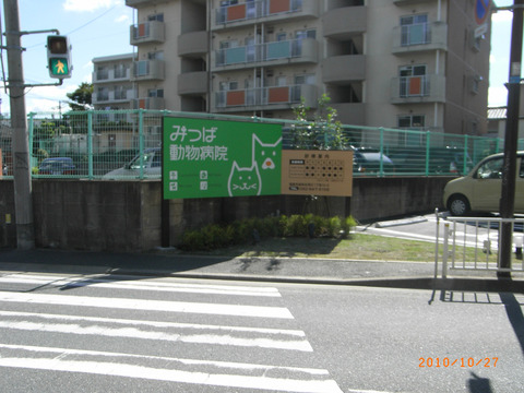 sRIMG0092