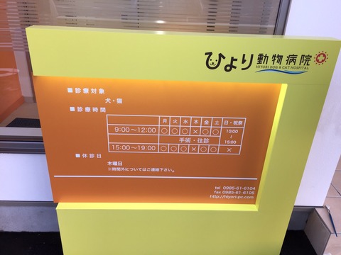 診療案内