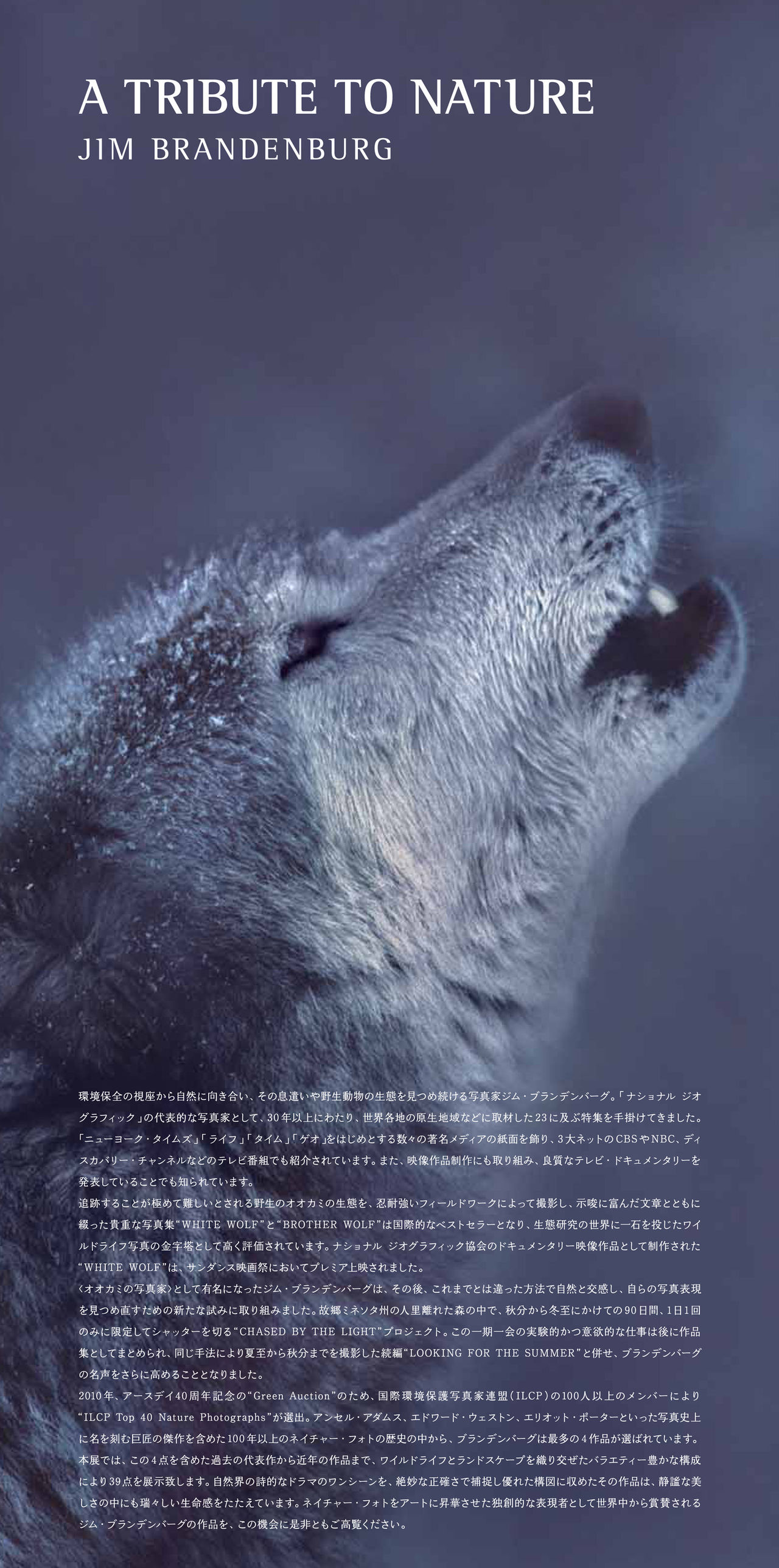 ジム・ブランデンバーグ写真展 : 日々ストライプ