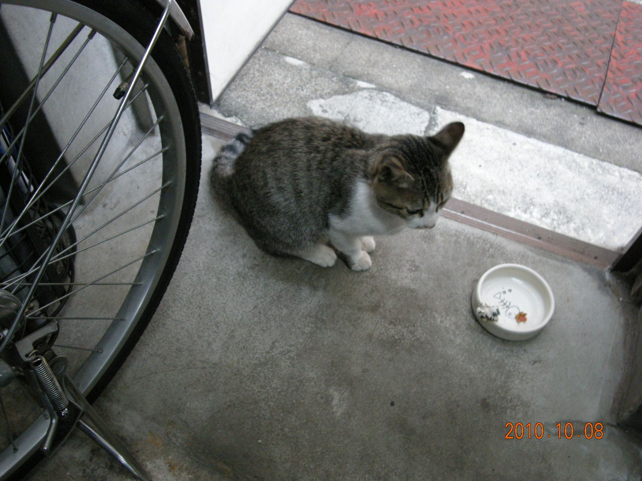 みぃちゃん 出張ホスト タケル ブログ