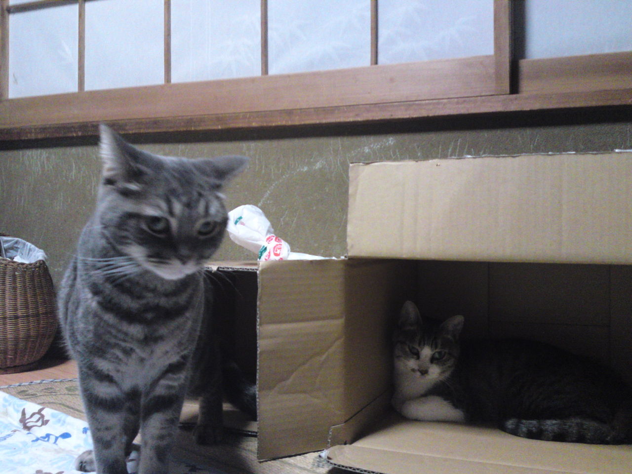 みぃちゃん 出張ホスト タケル ブログ