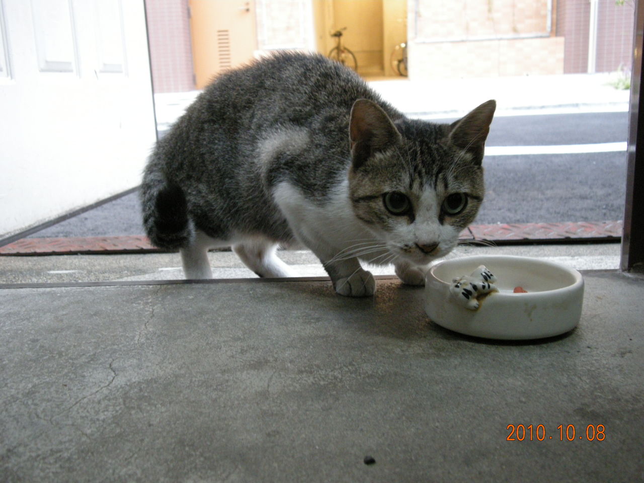みぃちゃん 出張ホスト タケル ブログ