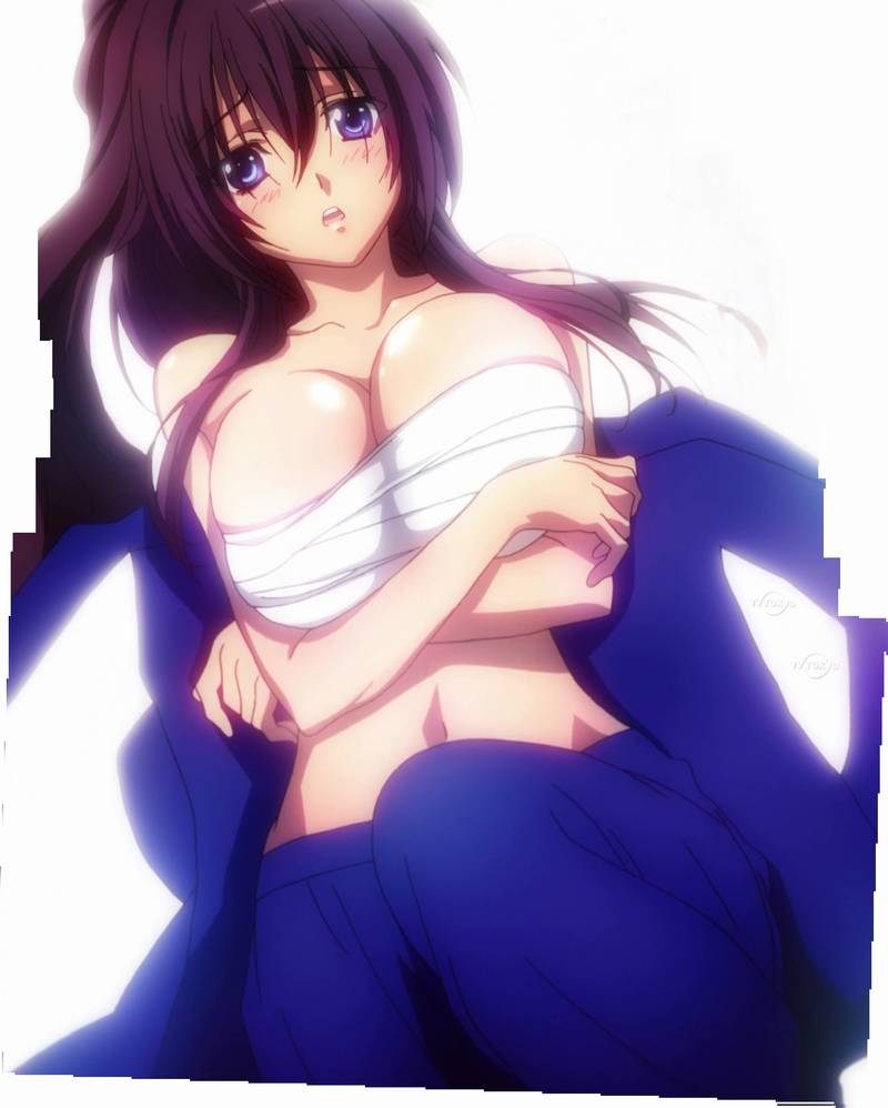 織田信奈の野望を見終わった 或る阿呆の一生