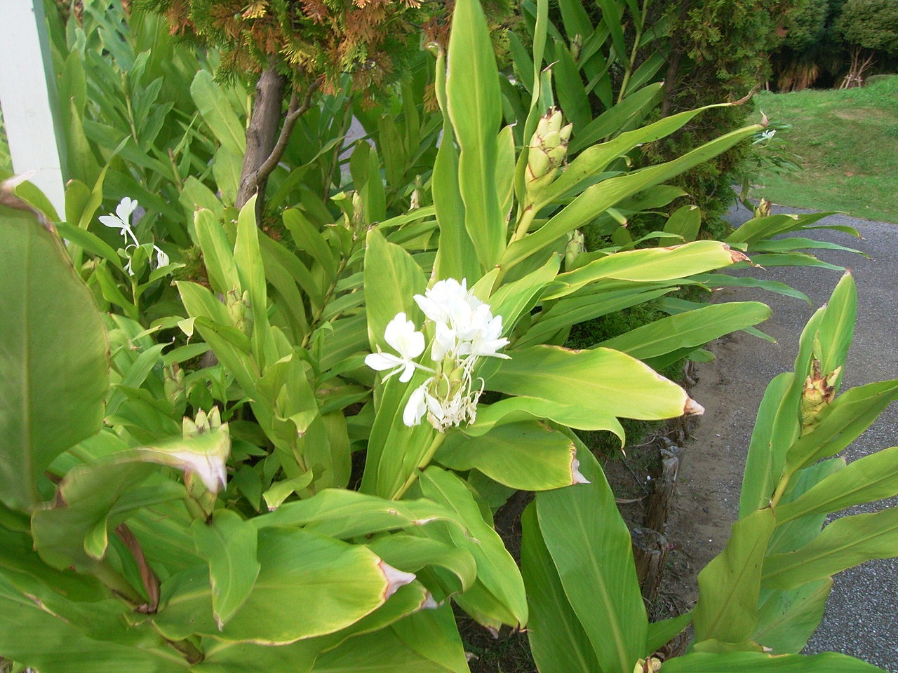 8674 弁護士も 司法も信頼 権威 落ちており 小沢への 誤解が段々 消えてゆき ネット族 真実掴み 意義掴み 真実は いつか表に 明らかに アルデバランの 夢の星