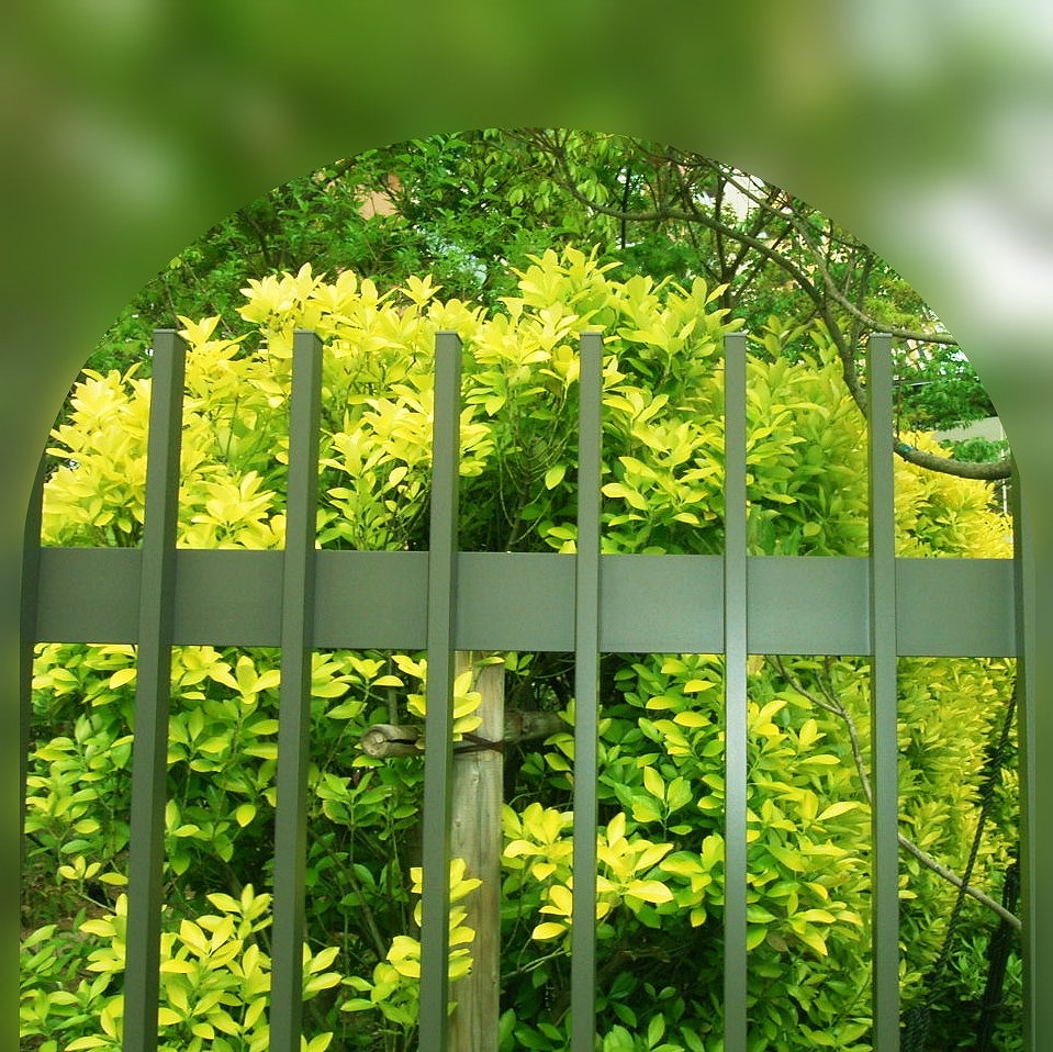 528 目や鼻や 口でも観賞 スミレなり スミレソウ もったいなくて 摘めなくて 絶え間なく咲く レンゲソウ編み いにしえの スミレ摘む恋 今昔 いまむかし せめてできるは 多花な植物 アルデバランの 夢の星 528 目や鼻や 口でも観賞 スミレなり スミレソウ もったいなくて 摘めなくて 絶え間なく咲く レンゲソウ編み いにしえの スミレ摘む恋 今昔 いまむかし せめてできるは 多花な植物 アルデバランの 夢の星