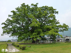 ���Ф��祯�� �� 2012