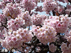 ξ������� ���� 2012