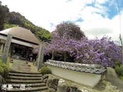 ���縩̾��������Į������ ������ �Τܤ�ƣ 2015