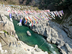 鯉のぼり 大歩危峡を泳ぐ 2011