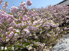 ���縩�������Į ���������� Ȭ�ź� 2016