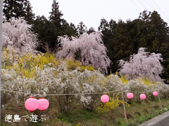 ����Į������ ������� 2013