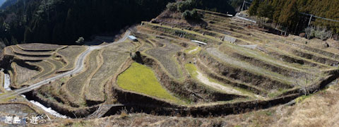 樫原の棚田 2012年2月