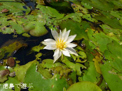 ������������� ���ѿ�ʪ�� 2012