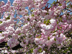 ���縩�������Į ���������� Ȭ�ź� 2016