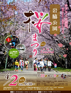 徳島県阿南市羽ノ浦町 岩脇公園桜まつり 2017