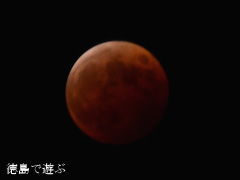 皆既月食 2014年10月8日
