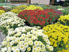 ���� �ƿͷ� �Ʋ�Ÿ 2010