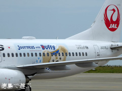 徳島阿波おどり空港 JALハッピージャーニーエクスプレス