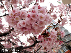 ξ������� ���� 2014