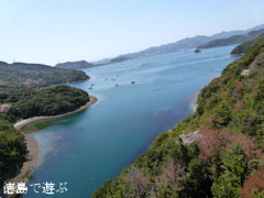 ���祹�����饤�� �ٱ۳���