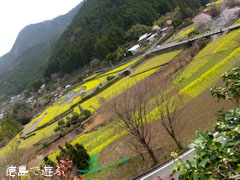 ����ݤ�Τ �ڤβ� 2013