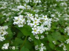 ���� �����β� 2012 ���� ����Τ ������β�