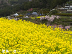 ���� ���� �ڤβ� 2013