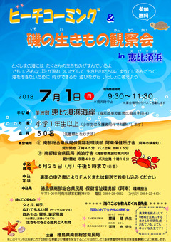 徳島県 美波町 恵比須浜 ビーチコーミング 磯の生きもの観察会 2018