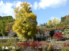 ����Į ����ݤ��������礦 2013