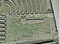 徳島県板野郡北島町 北島チューリップ公園 ししゃもねこ 地上絵 2015