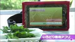 上勝町 いろどり docomo ドコモ タブレット