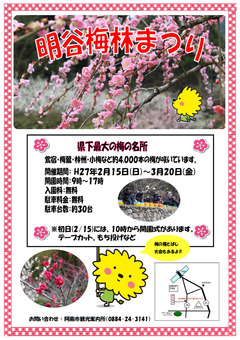 徳島県阿南市 明谷梅林まつり 2015