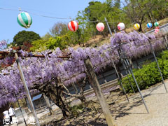 Ƹ�ػ� ƣ�β� 2013