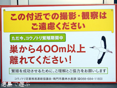 徳島県鳴門市大麻町 コウノトリ 巣に近づくことを自粛 案内看板