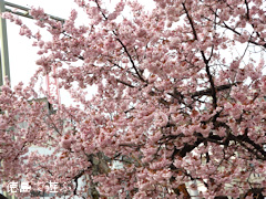 ξ������� ���� 2014