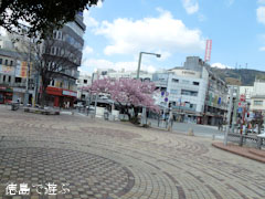 ξ������� ���� 2012