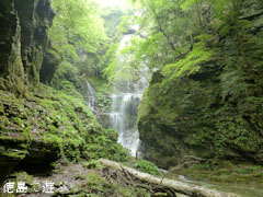 母衣暮露滝 2011