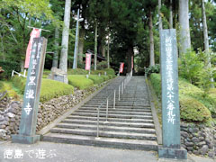 ζ���� ������