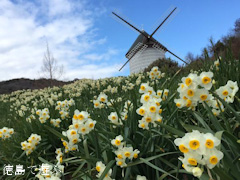 ���縩 ��������������� ���֤ε� �������� ���� 2015