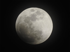 徳島県 皆既月食 2018年1月31日