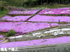 ������¼���� �Ǻ� 2010