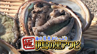 �ȥߡ����ΤϤ�ڤ����å��� �� ����ι������