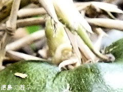 �������� ȯ��