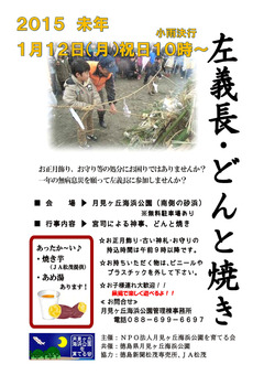 徳島県板野郡松茂町 月見ヶ丘海浜公園 左義長 どんと焼き 2015