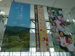 徳島阿波おどり空港 映画 人生、いろどり PR